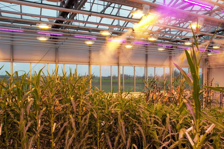 agro-incubator